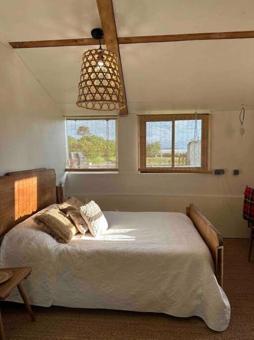 Cosy Cabane Boise Solaire, Balneo Bath Et Toilette Seche A La Ferme Mimizan-Plage Zewnętrze zdjęcie