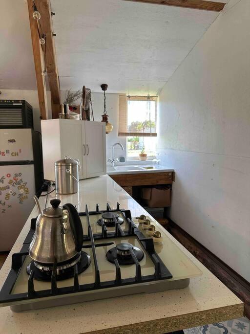 Cosy Cabane Boise Solaire, Balneo Bath Et Toilette Seche A La Ferme Mimizan-Plage Zewnętrze zdjęcie