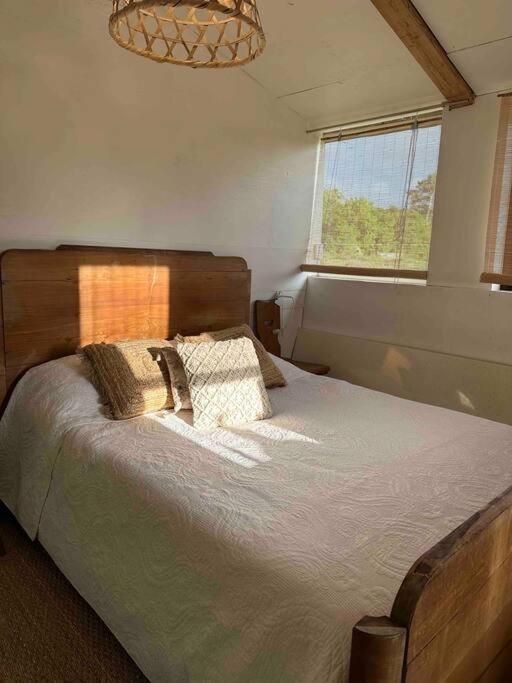 Cosy Cabane Boise Solaire, Balneo Bath Et Toilette Seche A La Ferme Mimizan-Plage Zewnętrze zdjęcie
